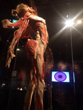 18405721_1364074846994635_283757409_o